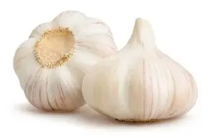 AJO