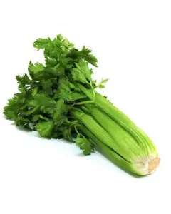 APIO RAMA