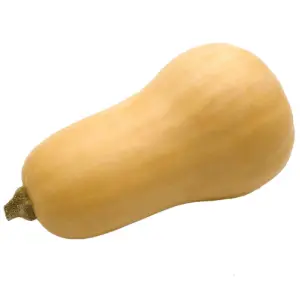 CALABAZA