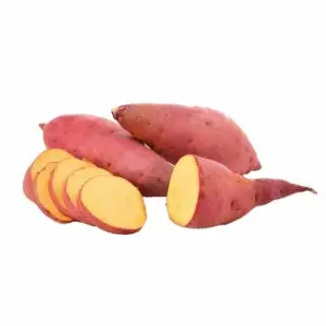 BONIATO CRIOLLO ESPECIAL