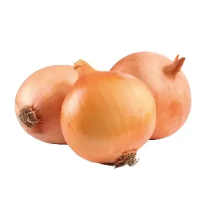 CEBOLLA BLANCA